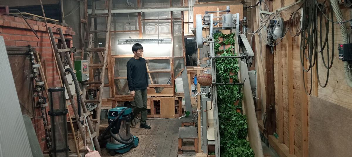 A Yame tea artisan beside freshly harvested leaves moving through a traditional brick tencha kiln.