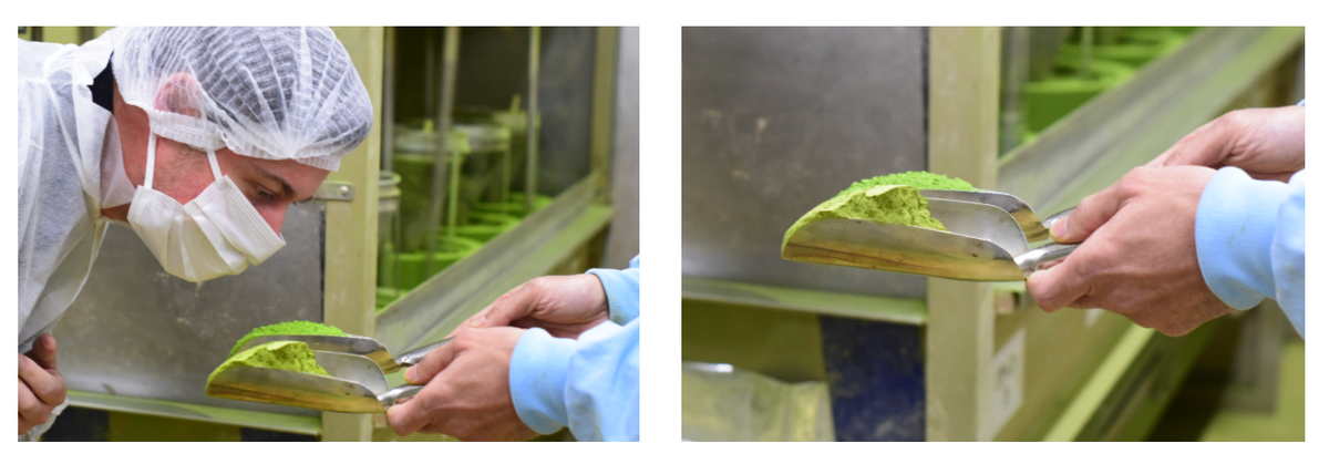 our founder, David, sampling and assessing different grades of matcha in Kyoto