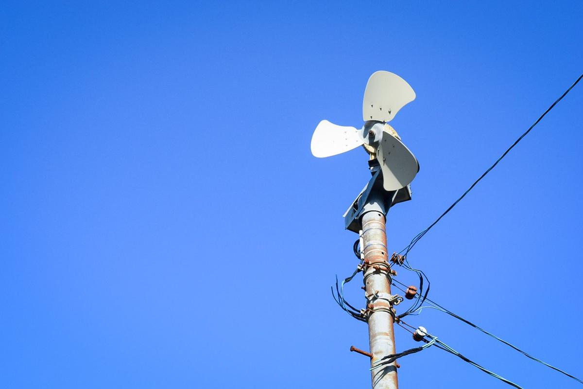 Fan used to protect the delicate new leaves from frost damage