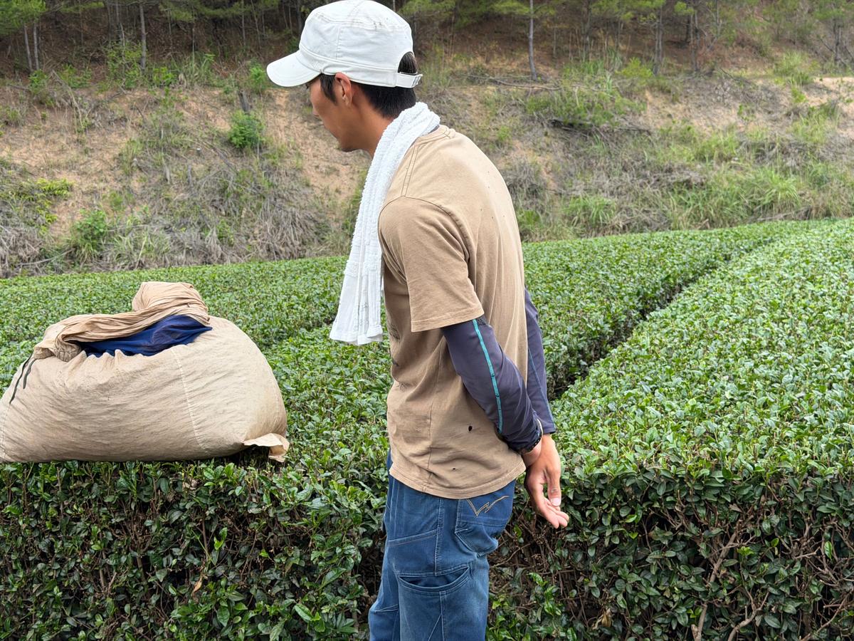 learning directly from the producers behind our matcha is one of the things we value most